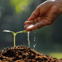 Agriculture and Farming businesses benefit from City Chamber of Commerce membership