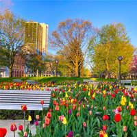 Parks and Outdoors businesses benefit from City Chamber of Commerce membership